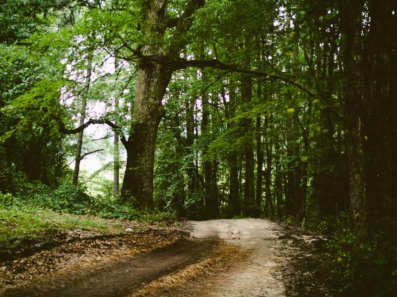 sudoku ios app screenshot 2